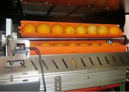 오렌지 사과를 위한 암시장 과일주스 자동 판매기 800W